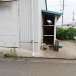 (外観)