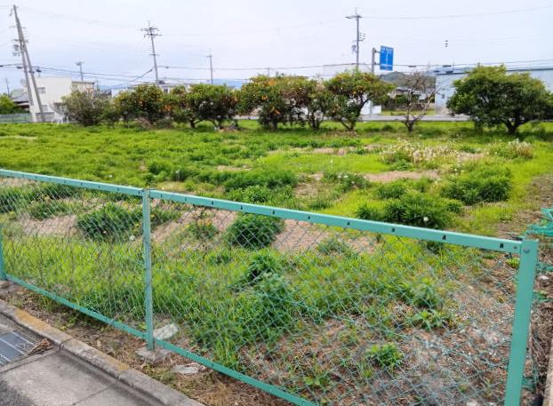 (外観)
